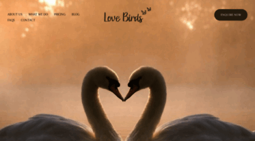 lovebirds.co.nz