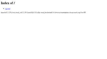 marketplace.hoopcoach.org