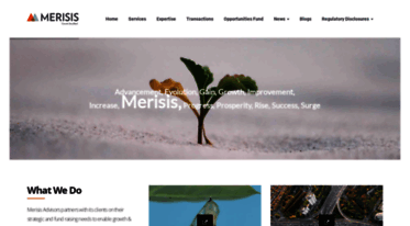 merisisadvisors.com