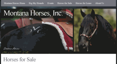 montanahorsesforsale.com