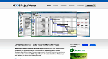 ms-project-viewer.com