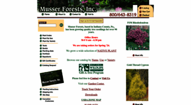 musserforests.com