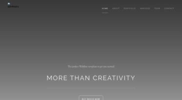 nexus-template.webflow.com