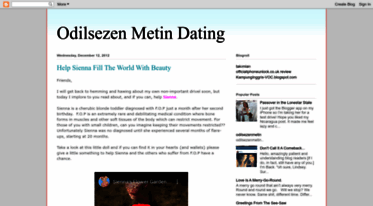 odilsezenmetin.blogspot.com