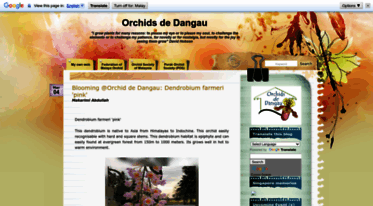 orchidhut.blogspot.com