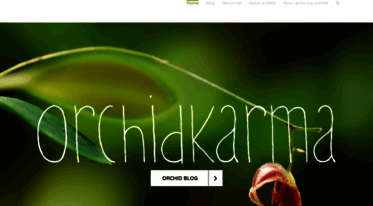 orchidkarma.com