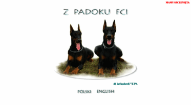 padok.type.pl