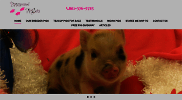 pamperedpiglets.com