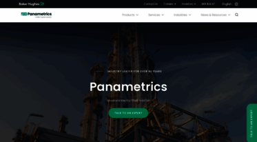 panametrics.com