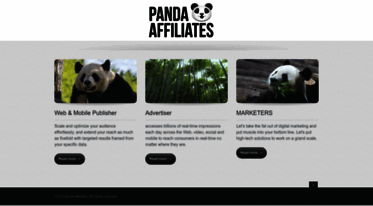 pandaffiliates.com