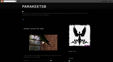 parakeetsb.blogspot.com