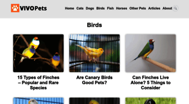 parrot-and-conure-world.com