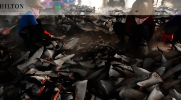 paulhiltonphotography.com