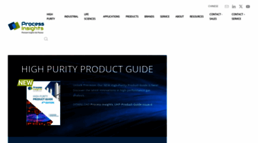 process-insights.com