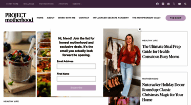 projectmotherhoodnyc.com