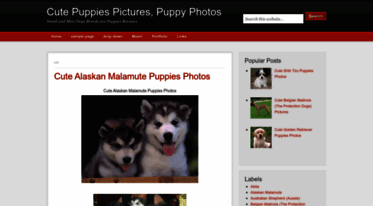 puppiesphotos.blogspot.com