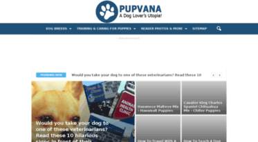 pupvana.com
