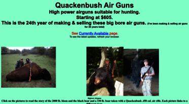 quackenbushairguns.com