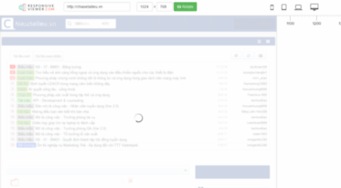 responsiveviewer.com