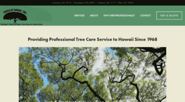 rich-tully.squarespace.com