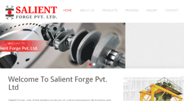 salientforge.com