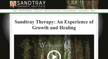 sandtraytherapyinstitute.com