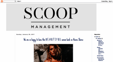 scoop-management.blogspot.com