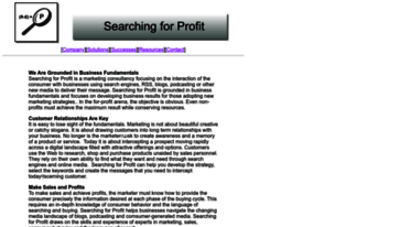 searchingforprofit.com