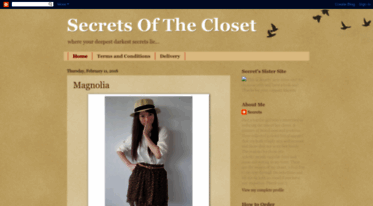 secrets-of-the-closet.blogspot.com