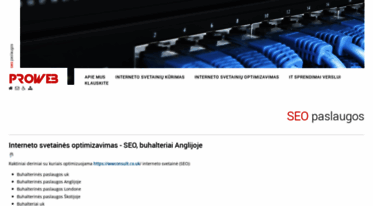 seo-paslaugos-seo.lt