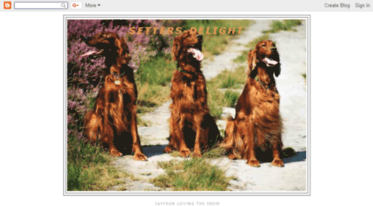 setters-delight.blogspot.com