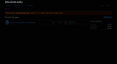 Get Shesgotleaks.com news - ShesGotLeaks