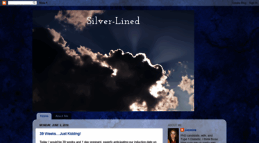 silverlined-details.blogspot.com