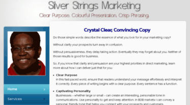 silverstringsmarketing.com