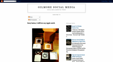 socialmediavoice.com