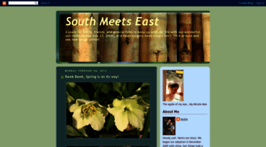 southmeetseast.blogspot.com