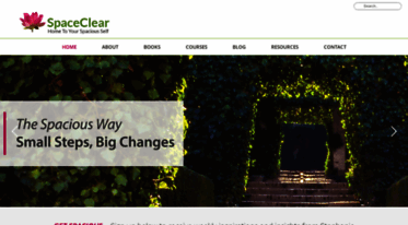 spaceclear.com