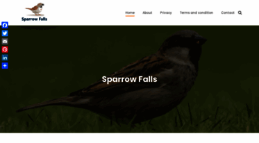 sparrowfalls.nl