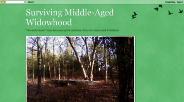 survivingmiddle-agedwidowhood.blogspot.com