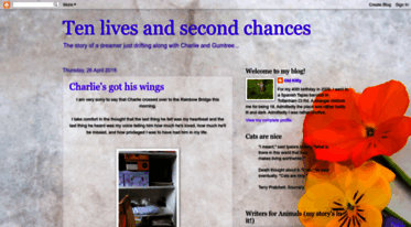 ten-lives-second-chances.blogspot.com