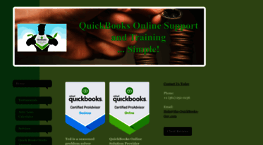 the-quickbooks-guy.com