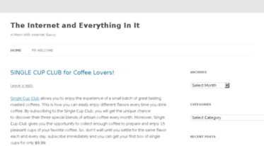 theinternetandeverythinginit.com