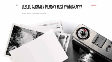 thememorynest.blogspot.com