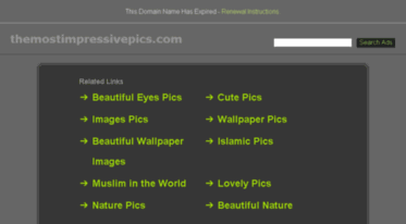 themostimpressivepics.com