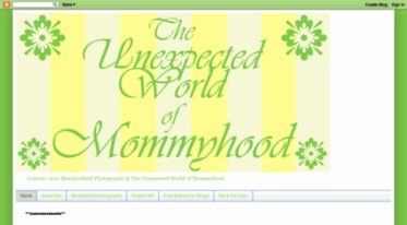 theunexpectedworldofmommyhood.blogspot.com