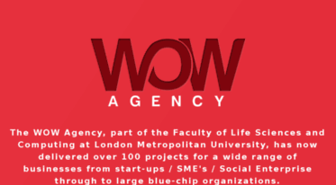 thewowagency.co.uk