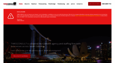timesconsult.com