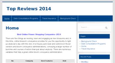 topreviews2014.com