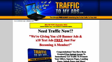 traffictomyads.com