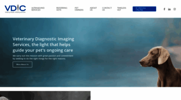 vdic.com